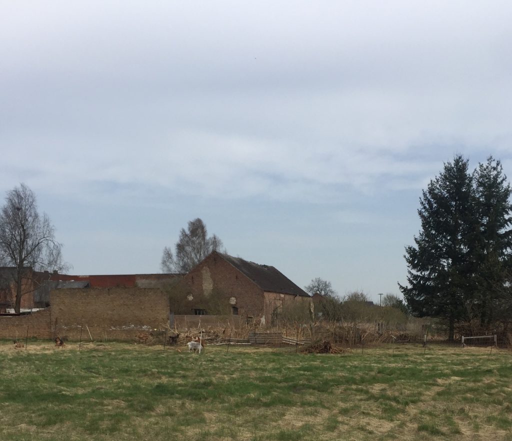 20180412 Weg zum Gollenberg 6