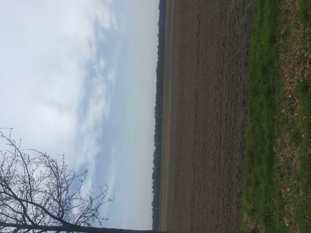 20180412 Weg zum Gollenberg 4