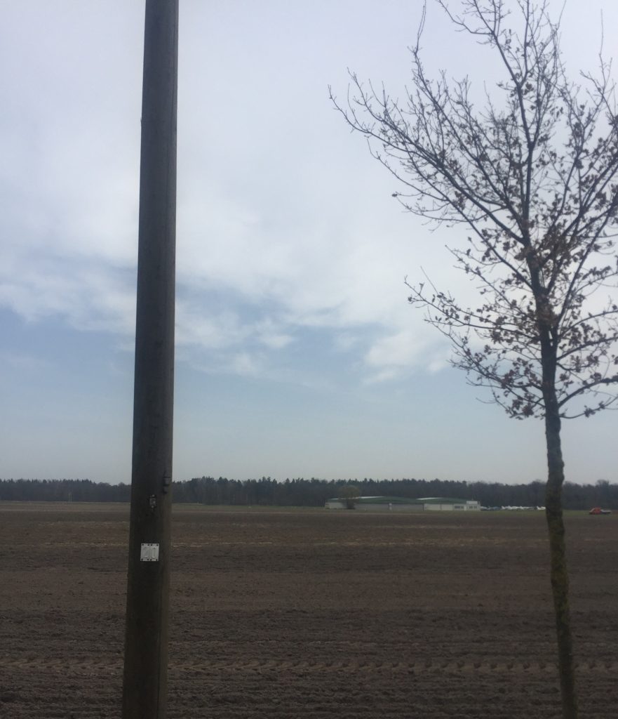 20180412 Weg zum Gollenberg 2