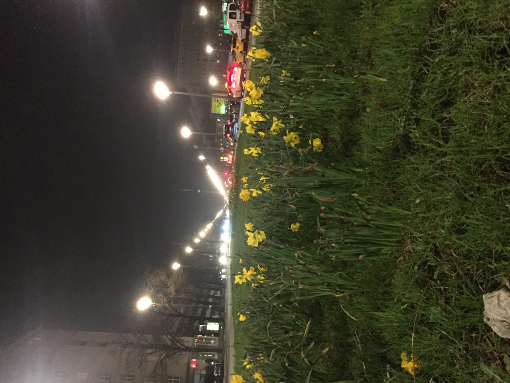 20180414 DANKE fürs Zuschauen